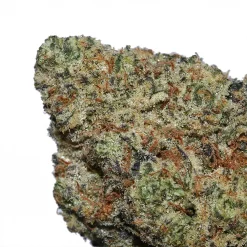 Slurricane Bigs Cannabis strain by Marijuana Baba