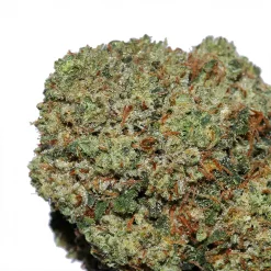 OG Kush Bigs cannabis strain by Marijuana Baba