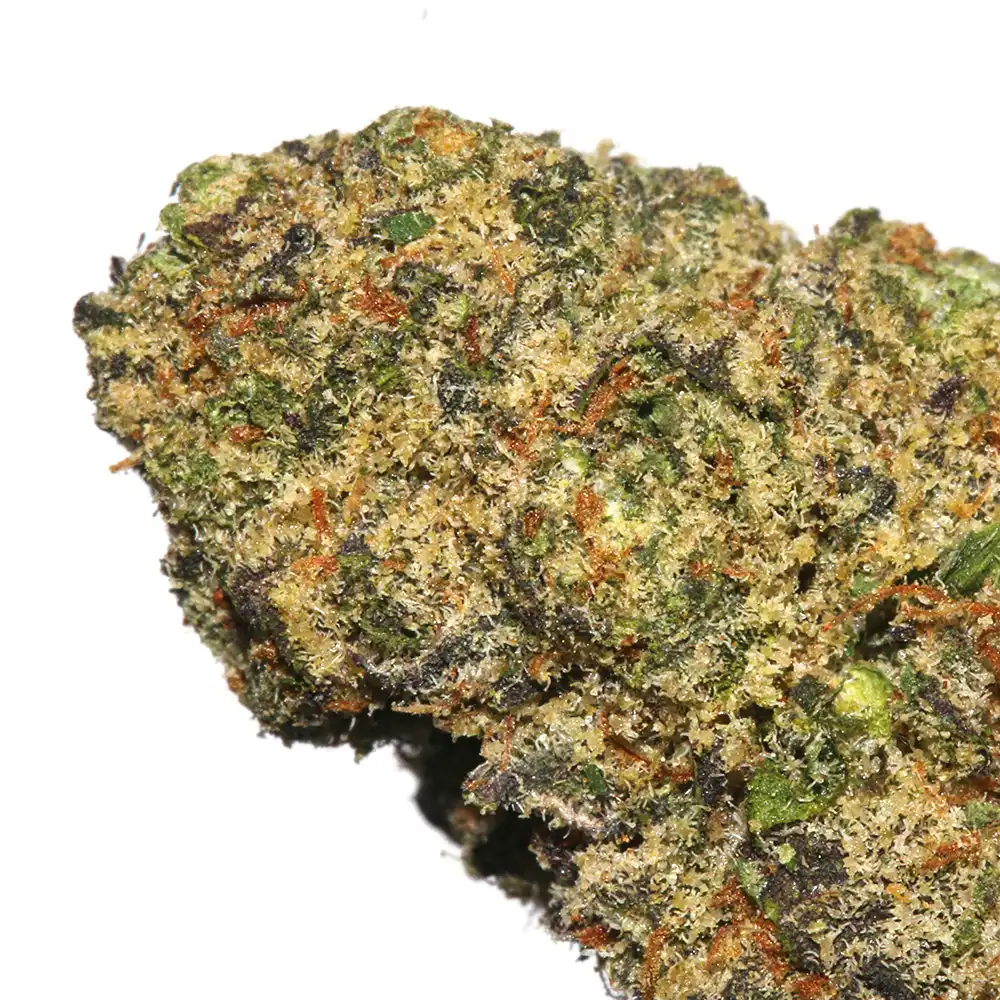Black Caviar cannabis strain from LA Weeds