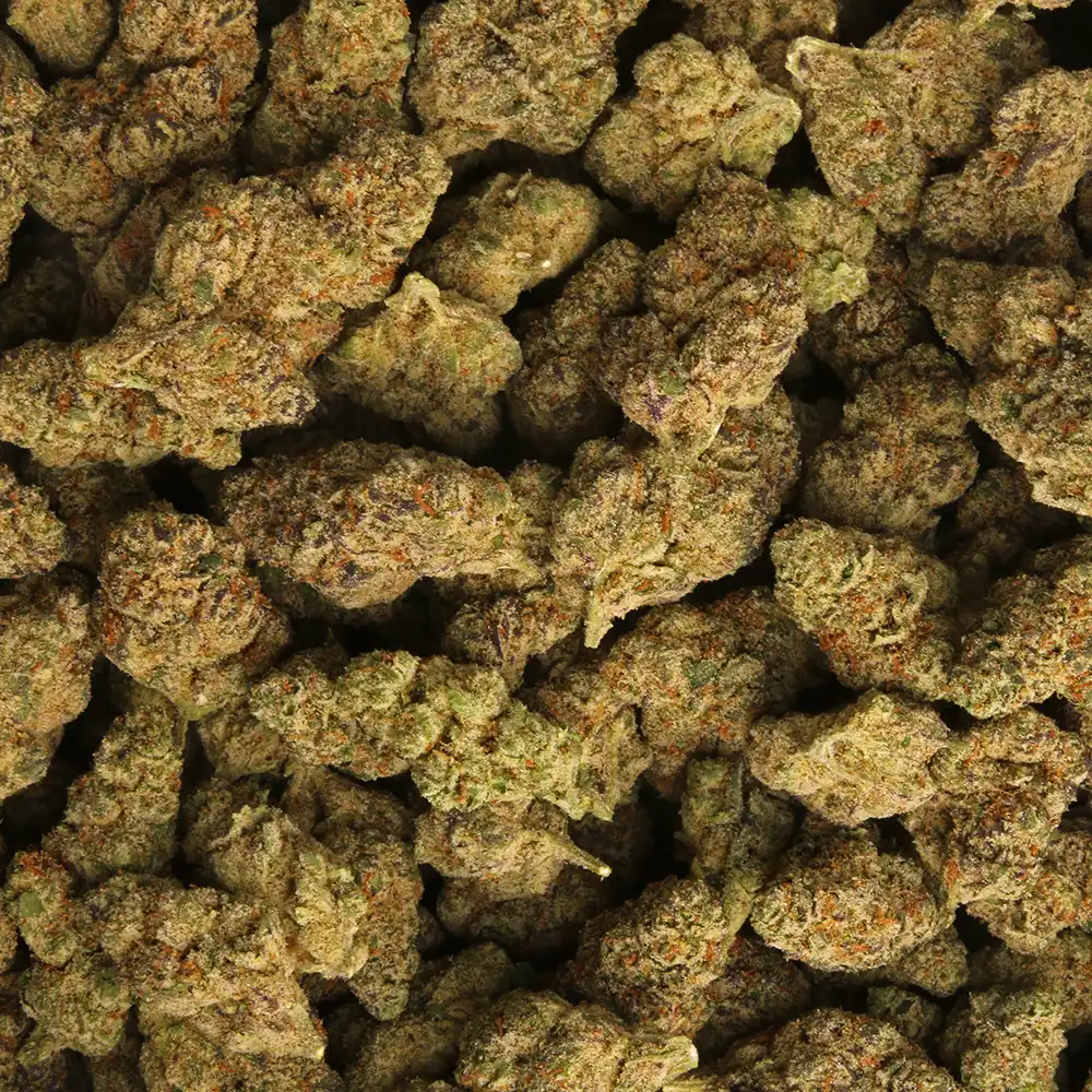 Black Caviar cannabis strain from LA Weeds