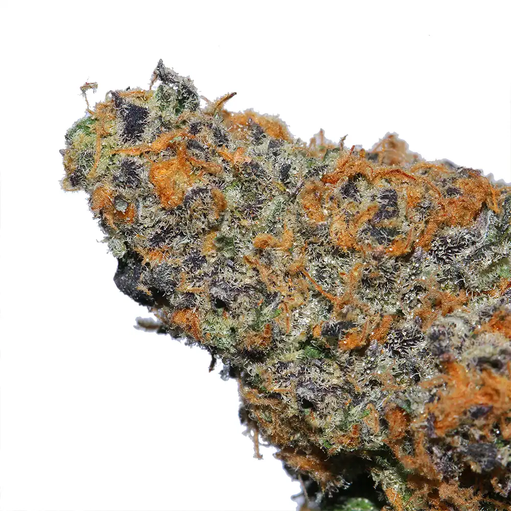 Formula #82 Cannabis Strain by LA Weeds