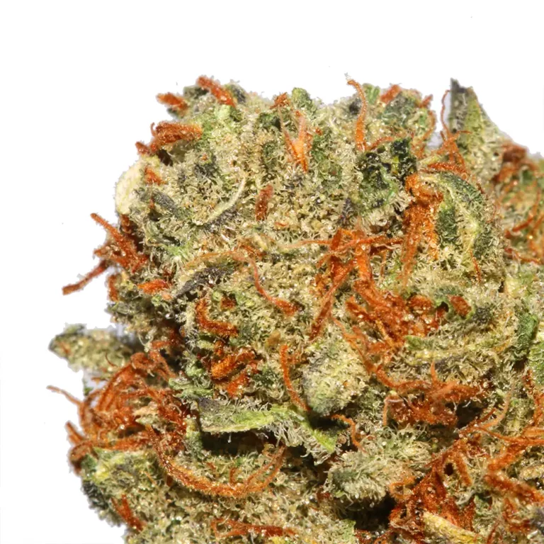 Orange Jack cannabis strain by LA Weeds