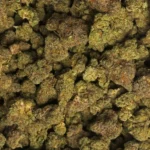 LA Weeds Sherbacio strain weed delivery in Los Angeles