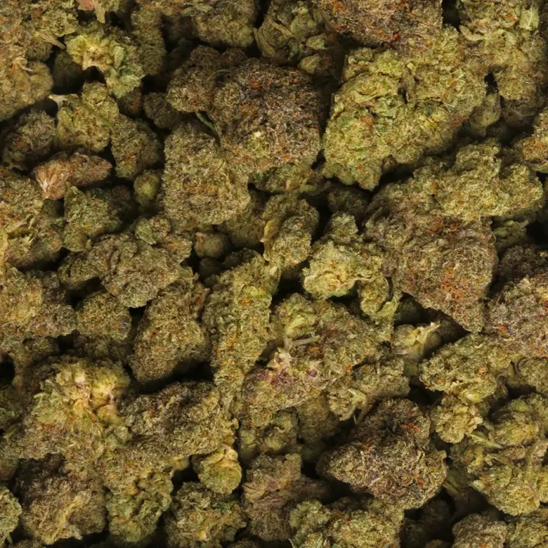 LA Weeds Sherbacio strain weed delivery in Los Angeles
