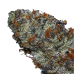 London Jelly cannabis strain by LA Weeds