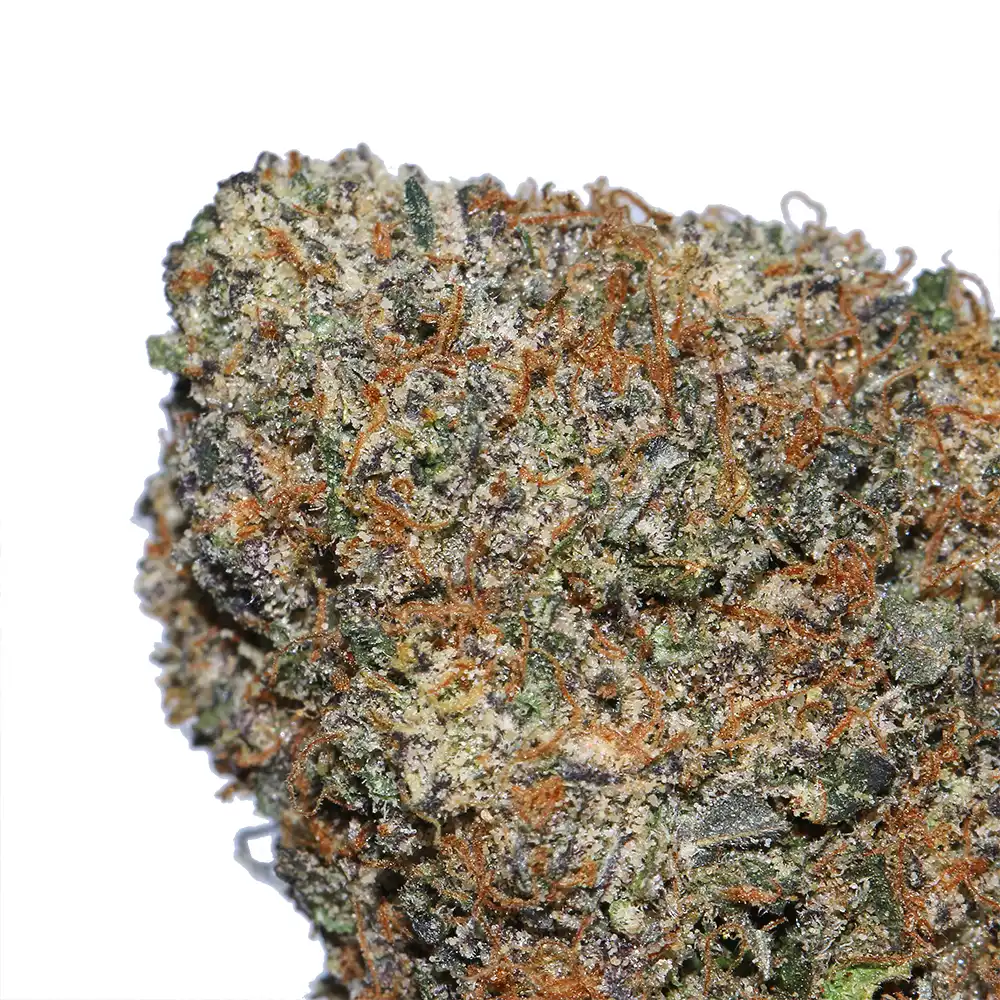 Sugar Runtz Strain by la weeds