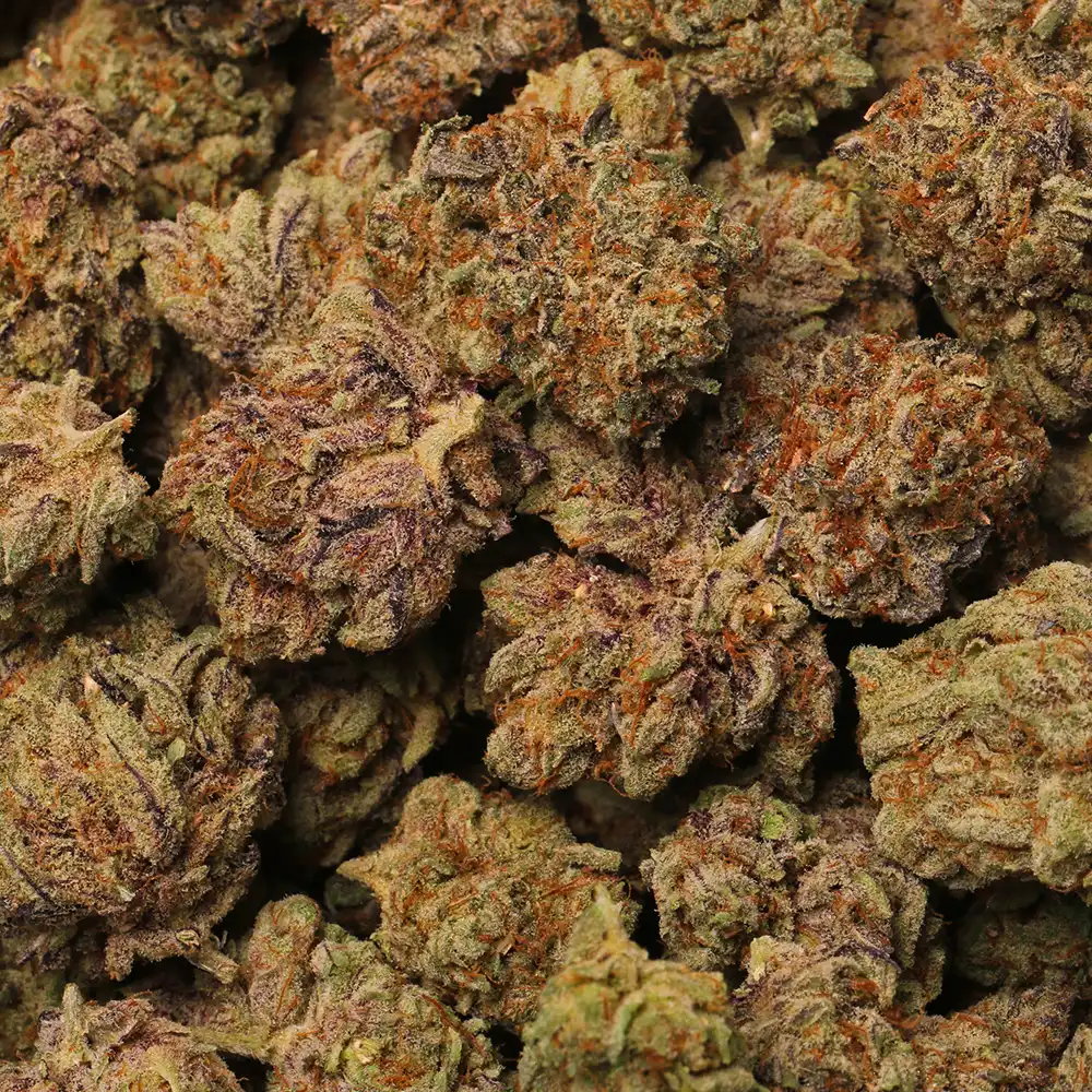 Gumbo Runtz Strain Delivery in Los Angeles - Kushfly