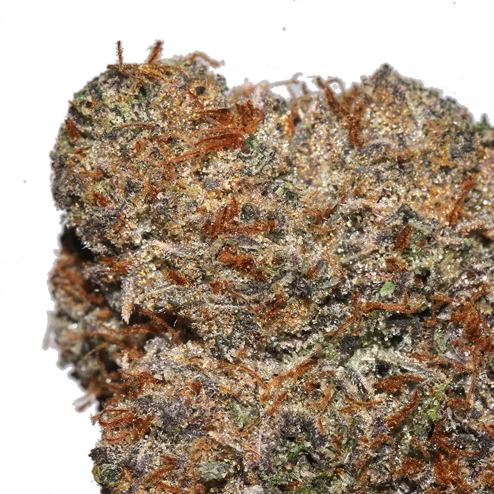 White Zlurpee Weed Strain