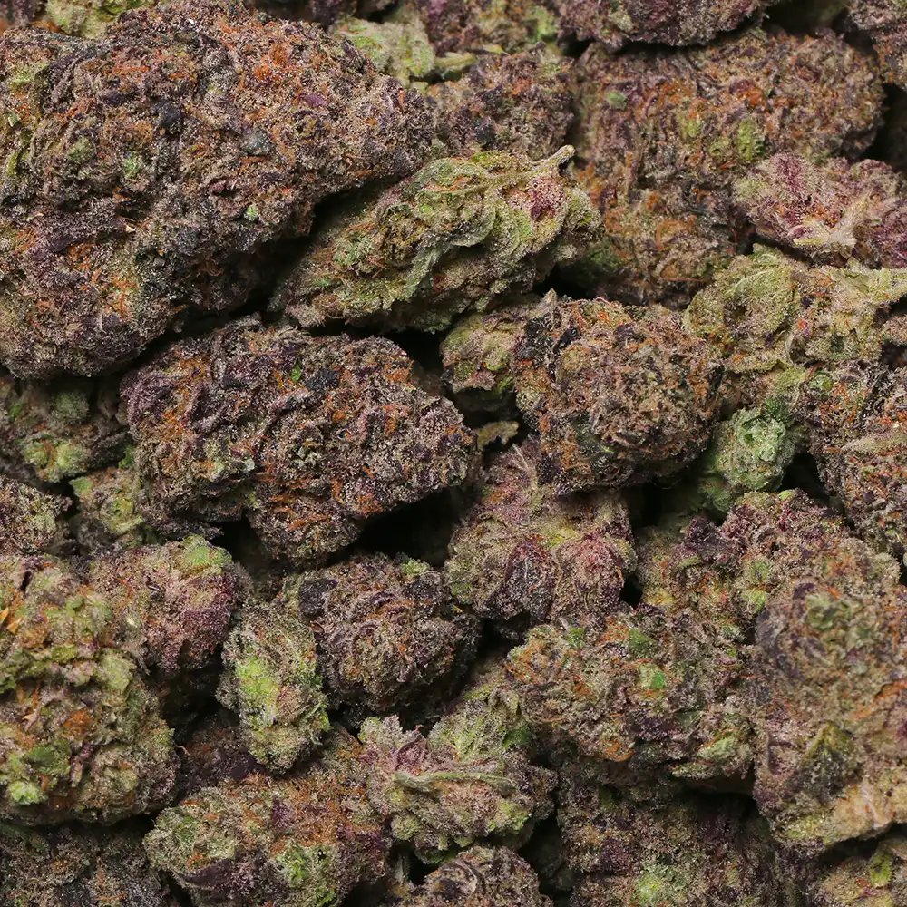 Hash Burger weed strain by Los Exotics
