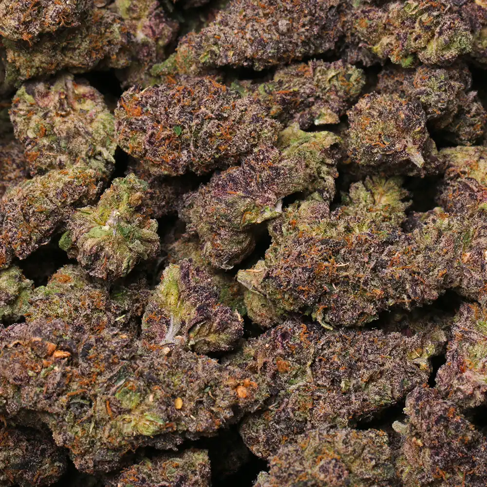 Sherb Cream Pie