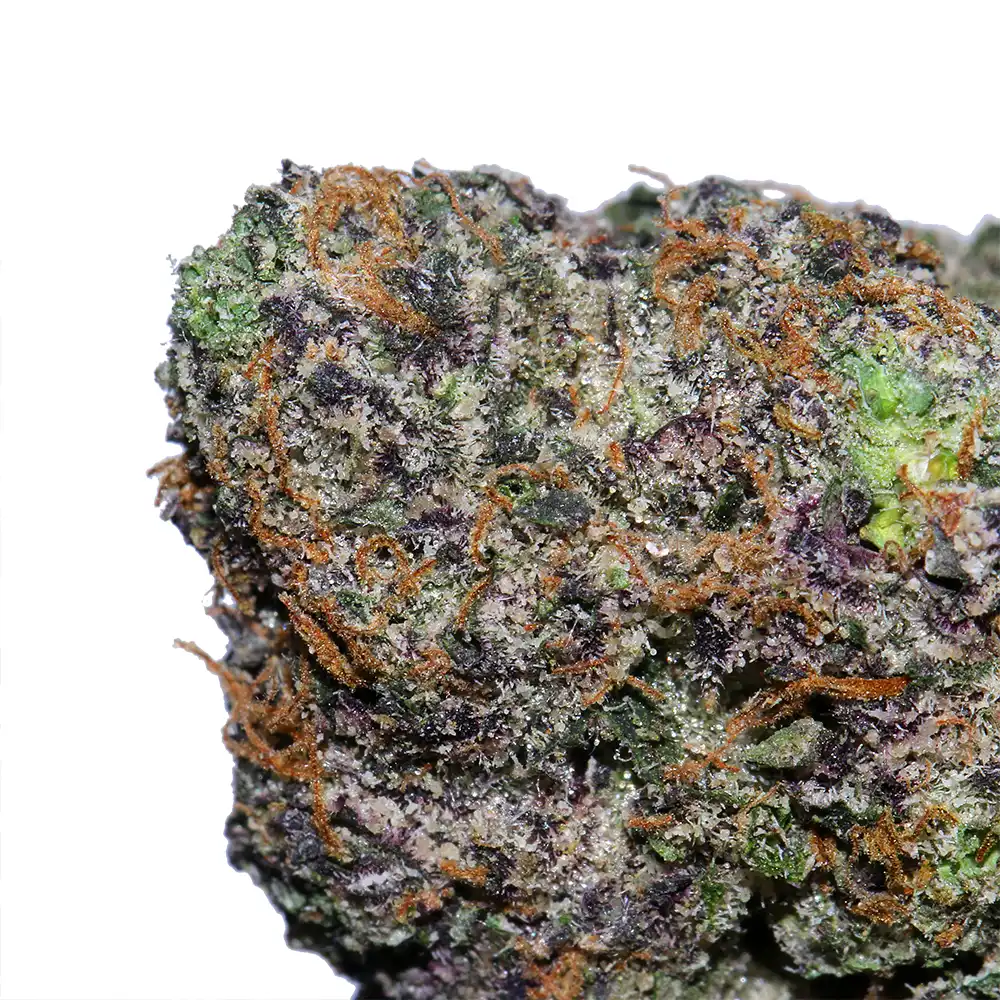 Supreme Gumbo weed strain by Los Exotics
