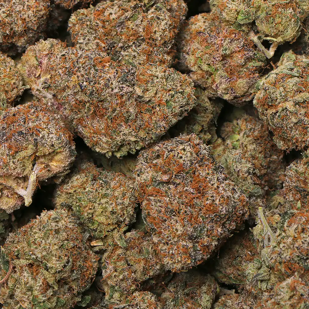 los exotics grape gumbo strain delivery los angeles