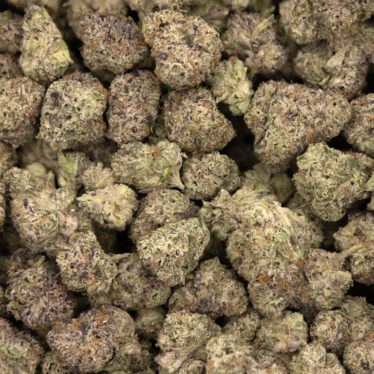 Blue Shamu Weed strain by Los Exotics