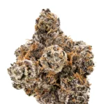 Super Runtz Cannabis Strain by Los Exotics