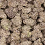 Super Runtz Cannabis Strain by Los Exotics