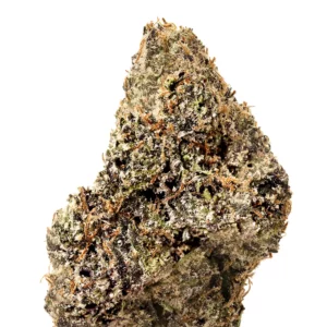 Gelato Cookies