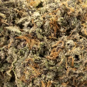 Dark Matter