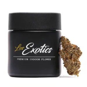 Golden Gate Gangster cannabis strain by Los Exotics