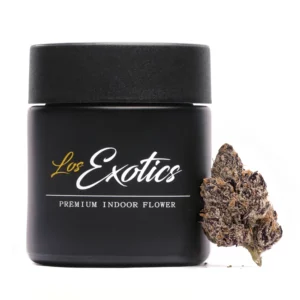 Presidential Runtz los exotics