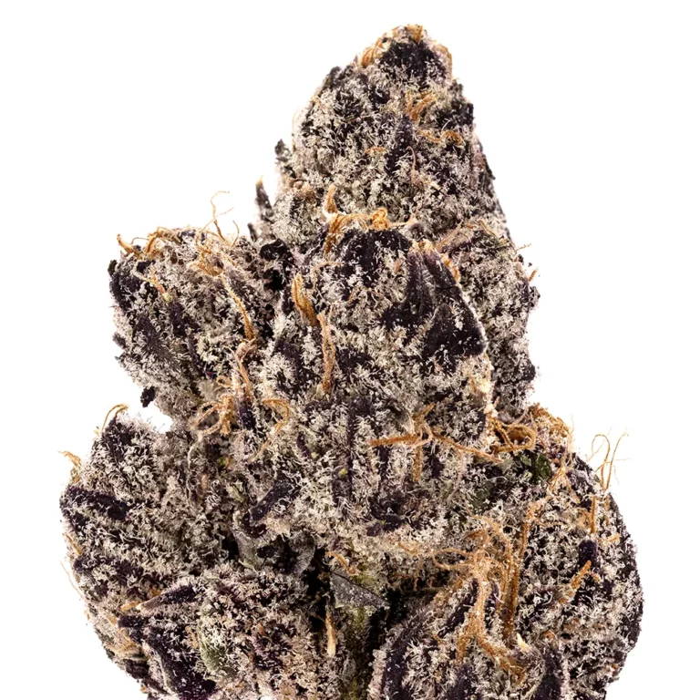 Presidential Runtz los exotics