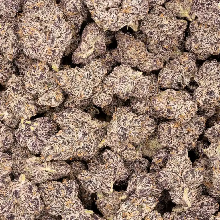 Presidential Runtz los exotics