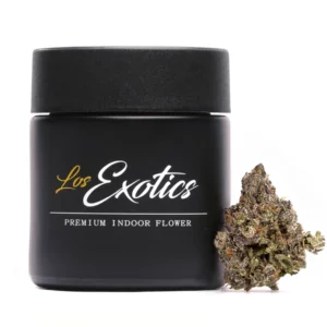 Zerbert by los exotics