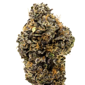 Blueberry