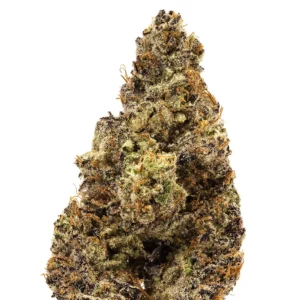 Gelato X