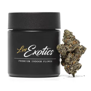 Biscotti Zkittlez