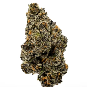 Biscotti Zkittlez