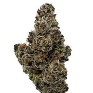 Strawberry Cherry Gelato #6