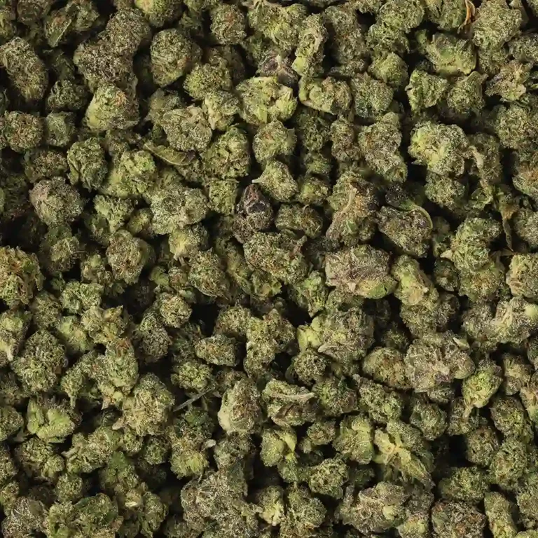 Kush Mints Smalls Cannabis strain by Marijuana Baba