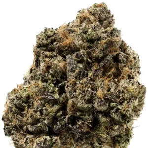 Lemon Cherry Gelato