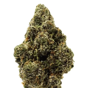 White Gummy