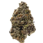 Forbidden Runtz Cannabis strain by Los Exotics