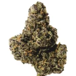 Candy Runtz Cannabis strain by Los Exotics