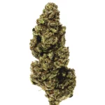 Super Green Crack Cannabis strain by Marijuana Baba