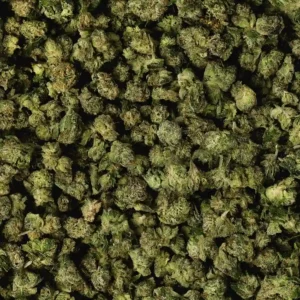 White Cherry Gelato Smalls