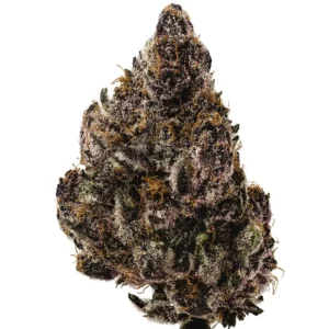 Lemon Cherry Tropicana