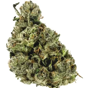 Gelato #33
