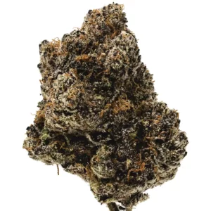 Gelato x Runtz