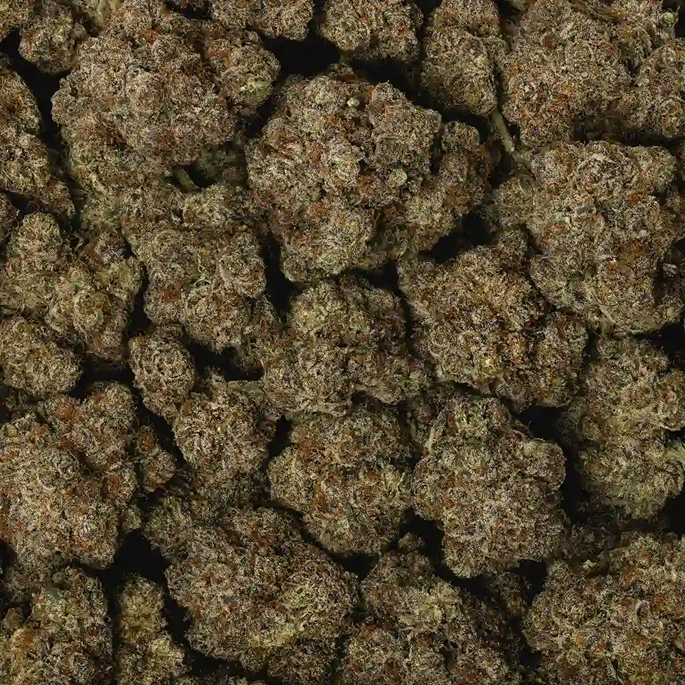 ghost breath marijuana by la weeds