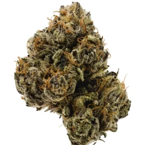 Blueberry