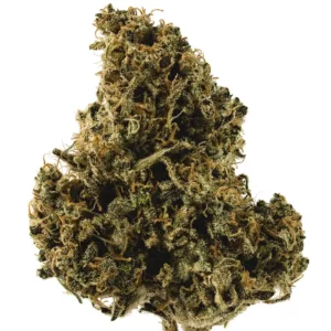 Durban Poison