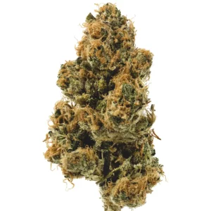 Orange Crush