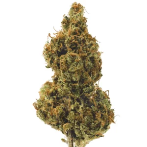 Super Silver Haze