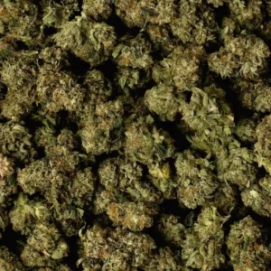 818 OG