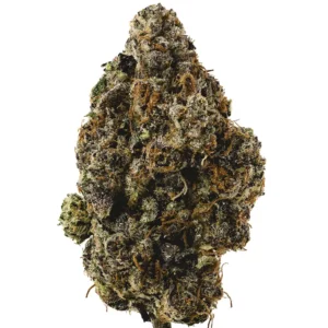 Lemon Cherry Gelato